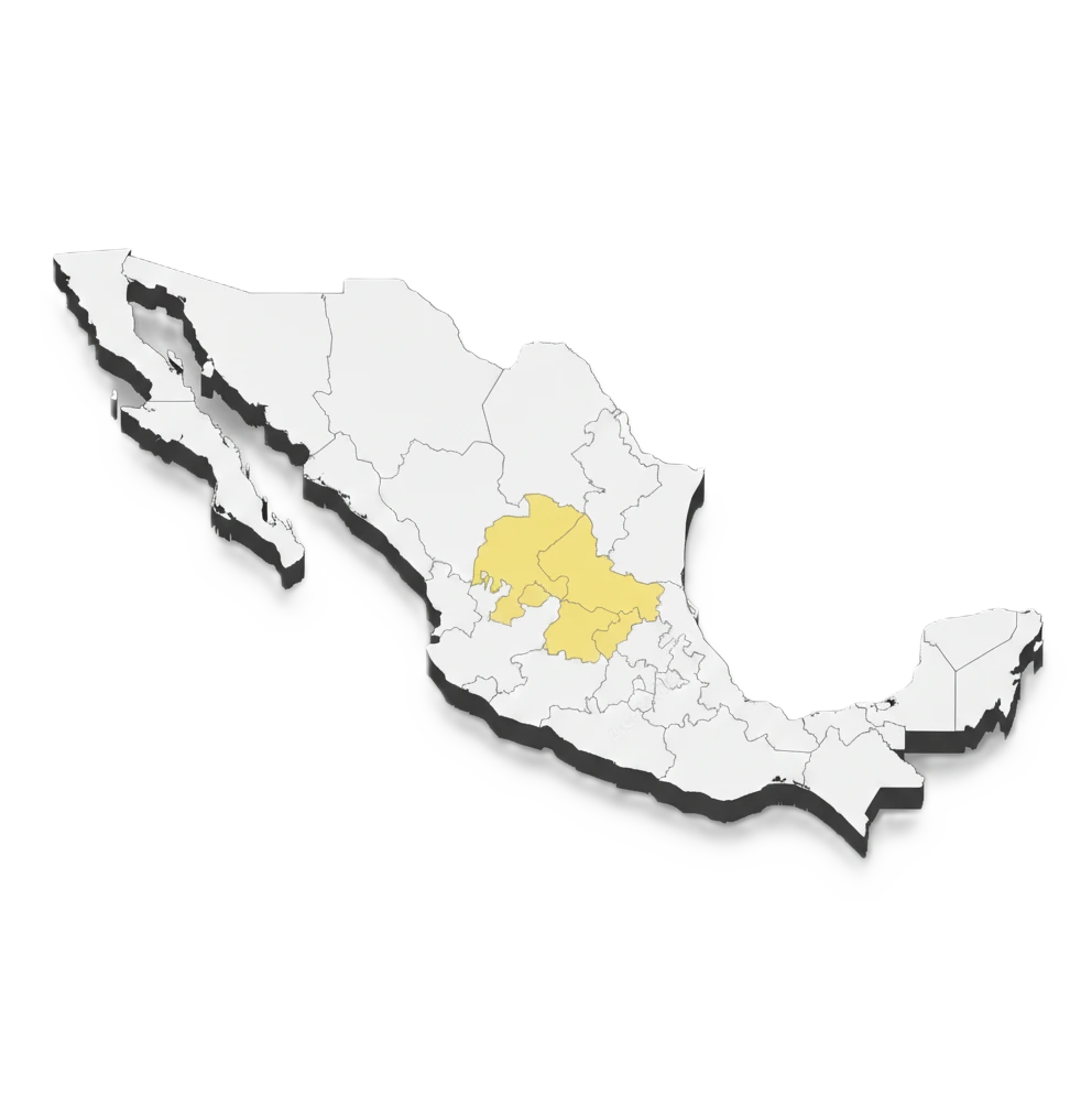 Expansión Regional 1980s